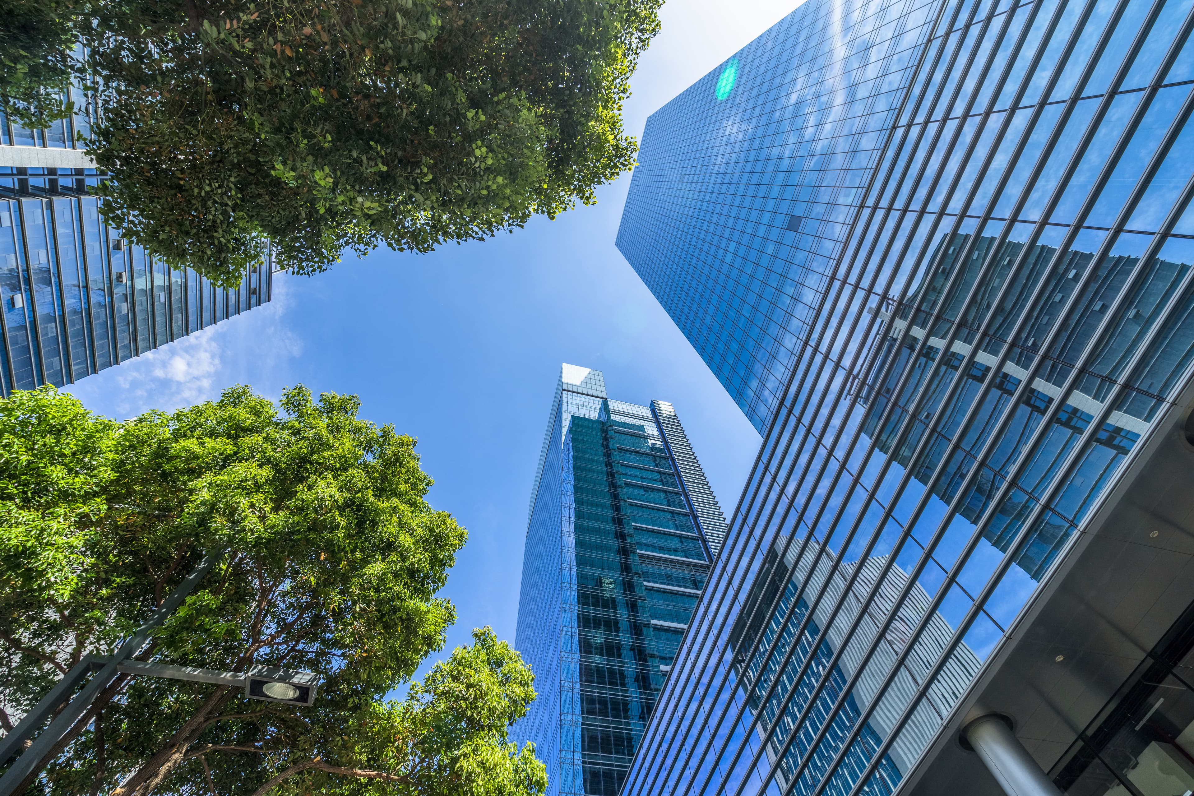 Yeşil Dönüşüm ve Teşvik Danışmanlığı